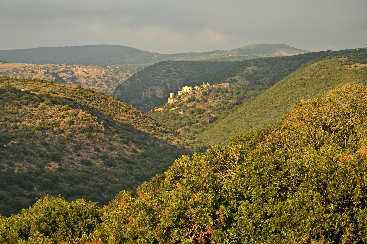 Biktot Nofim Villa Manot Rom bilde